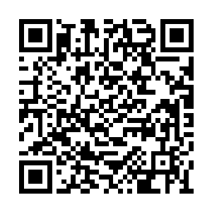 和教皇进行的这一次长谈对于苏凡来说受益良多二维码生成