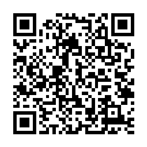 和施凝雪姑娘你合作还有和莫愁女合作有什么利有什么弊二维码生成