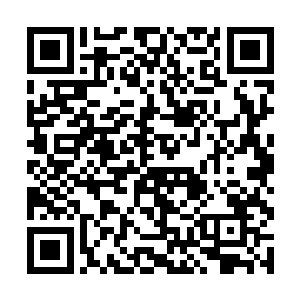 和星星肉脯使用货到付款的付费方式有着很大的关系二维码生成