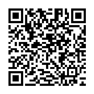 和晏晨在一个没有人认识的地方快快乐乐地过着自己想要的生活二维码生成