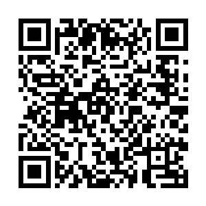 和柜台上剩余的所有情侣手机差不多都介绍了一遍后二维码生成