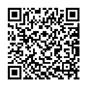 和死亡问答中伴着骑马舞上场的某个死胖子相比二维码生成