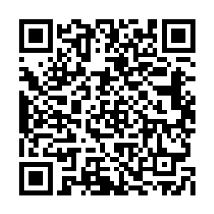 和毕燕青签订土地承包合同的村部代表就是陈彻二维码生成