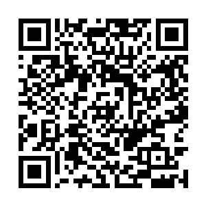 和沃尔特早就和利比展开了一场陆空追逐大战……二维码生成