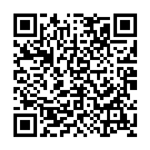 和沼泽下边莲花精怪拿给她的那面令牌上面的花纹几乎完全一致二维码生成