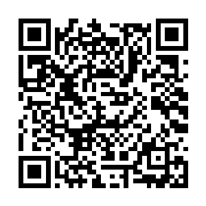 和混乱对抗的九条魔龙猛然间发出整齐的一声长啸二维码生成
