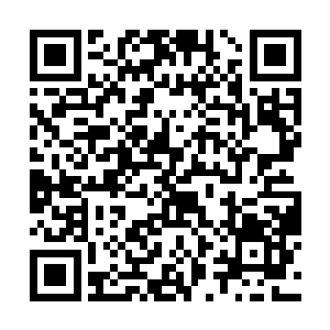 和燕山魂每人手里捧着一颗大蟠桃在毫无形象地啃着二维码生成