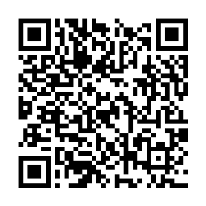 和父亲逃到安全地区的布华看着不远处的旋风肆掠二维码生成