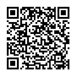 和王侠子前来的一众外门弟子更是嘴巴张大得能吞下拳头二维码生成