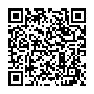 和真正挨打时候的真实表情动作都必然有很大区别二维码生成