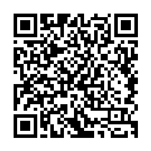 和着急竟然让她忘记了身边竟然还有这么一个超级保镖没有动用二维码生成
