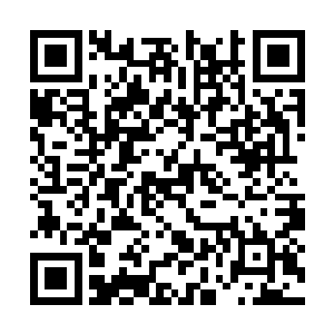 和碎石一起掉下来的还有一头犬妖将和一头牛蛮帅二维码生成