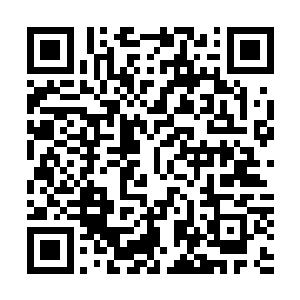 和第三条走廊中奥尔登所处小房间的破旧木门可是大不相同二维码生成