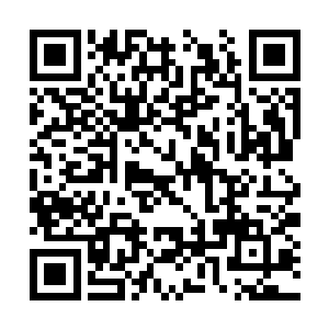 和统御这片地域四大势力的老祖都处于同一个层次二维码生成