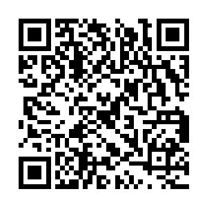 和罗天至尊一起站在了万丈大小的银白色罗盘中间二维码生成