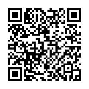 和罗志阳第一次打交道还是卢向东受伤住院的时候二维码生成