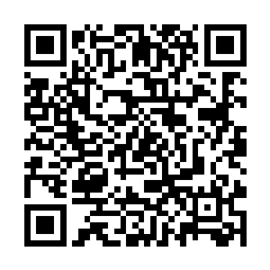 和罗旭站在一起的一个三十多岁的男子快步走了过来二维码生成