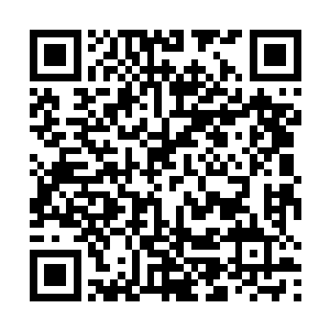 和苏鲁族战士每个都昂首挺胸抱着鸡的模样有很大反差二维码生成