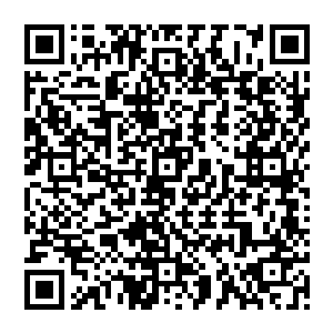 和药材行的蒲长贵几乎是狂怒的指着野叟和和那些一些参与祸祸猪婆龙和蟒蛇的武胜军一通臭骂二维码生成