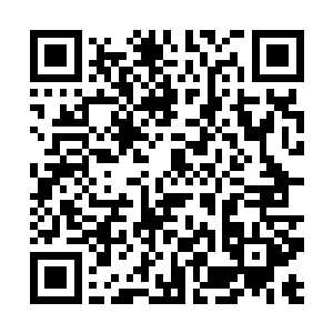 和衣飘飘衣禅钱万贯等人热热闹闹的举办了一场宴席二维码生成