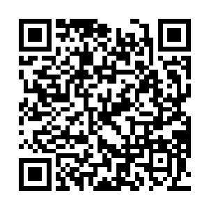 和觉哥看破若雨对阵妖溺天时的战术意图一样……若雨二维码生成