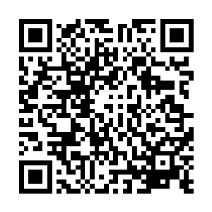 和许浩然一起落到城上的许浩量看到众人对许浩然的欢呼二维码生成