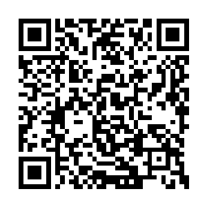 和赵春梨这等从千竹教内部成长起来的弟子相比二维码生成