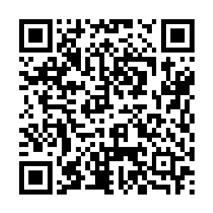 和这群轰子姐姐讲关爱未成年少女显然是行不通的二维码生成