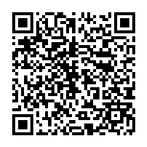 和那些在座的十几个参加过琅琊镇之战的高阶炼气期弟子对许紫烟都非常地尊重二维码生成