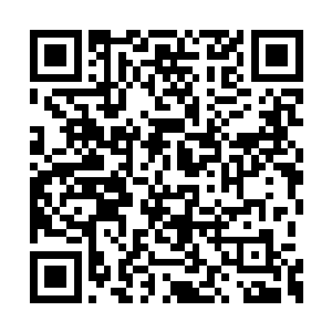 和那些实力强大的天选者之间的差距实在太大了二维码生成