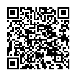 和那些狂热粉丝一样眼睛焦急的往t台上面张望着二维码生成