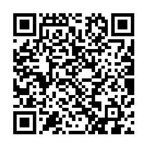 和那次招待西郭村大岩洞试营业时客人们的菜是完全一样的二维码生成