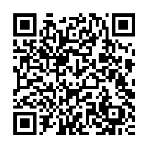 和郁波有些柔顺贴头皮而又梳理得一丝不苟的发型形成鲜明对比二维码生成