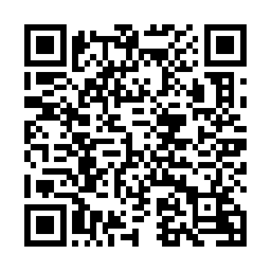 和陈景皓还有熬蛟他们一起将我从半空之中拉回了天台二维码生成