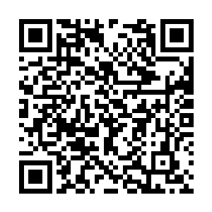 和预知这类可以改变的未来的能力完全没有关系~二维码生成