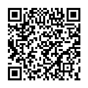 和风拍卖行居然出动了白玉琉璃棺这样的好东西二维码生成