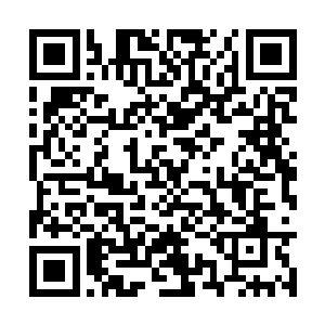 和驻守在魔晶矿洞的一名元婴期修士打了一个招呼二维码生成