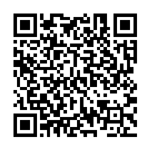 和骨牌的力量合二为一后竟然和那万千金芒斗了个势均力敌二维码生成