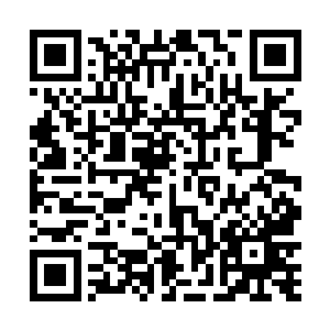 咕仔也就回返到我身边问询我接下来还需要他做些什么二维码生成