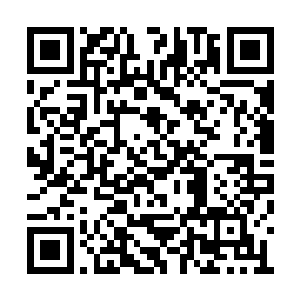 咕仔手指指下房梁上每隔一段距离的木头雕刻物二维码生成