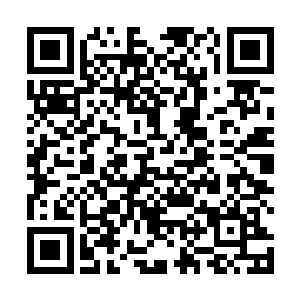 咕仔用鬼力控制那几件骨器正对着陶响球上特定位置后二维码生成