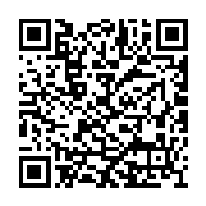咕噜兽圆滚滚的身体以肉眼可见的速度迅速缩小二维码生成