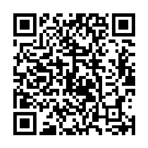 咚咚咚的脚步声一层叠着一层的在洞穴中此起彼伏地回荡着二维码生成