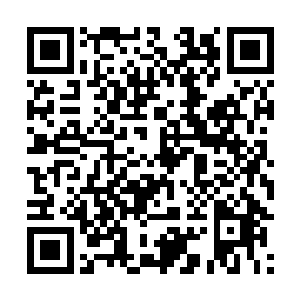 咚~~那紫檀木的拐杖又再一次重重的撞击在地面上二维码生成