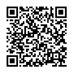 咦这里怎么有些残破的碧水天莲还有灵肉雪玉藕二维码生成