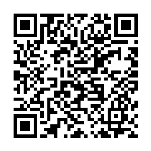 咯咯……现在你必须称呼我们鲜花子爵和紫罗兰伯爵了……二维码生成