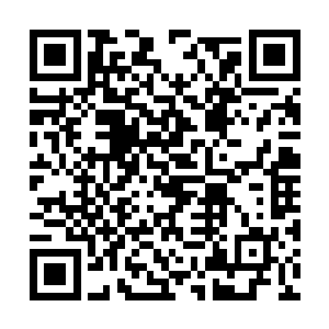 咱们不能告诉他吃苹果可以长成你这么好看的秘密二维码生成