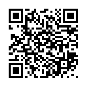 咱们之间的主宠关系还需要完善一下二维码生成