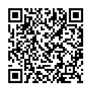 咱们九峰仙域可没人傻到将中品法宝拿来卖……二维码生成