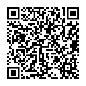 咱们先看他们的最后一选会拿出什么英雄来康特炸弹人这个英雄吧二维码生成